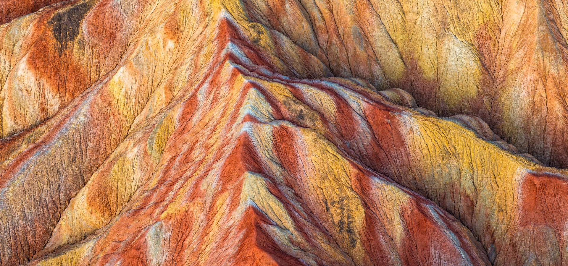 2025 Outlook: Global Real Estate Roundtable