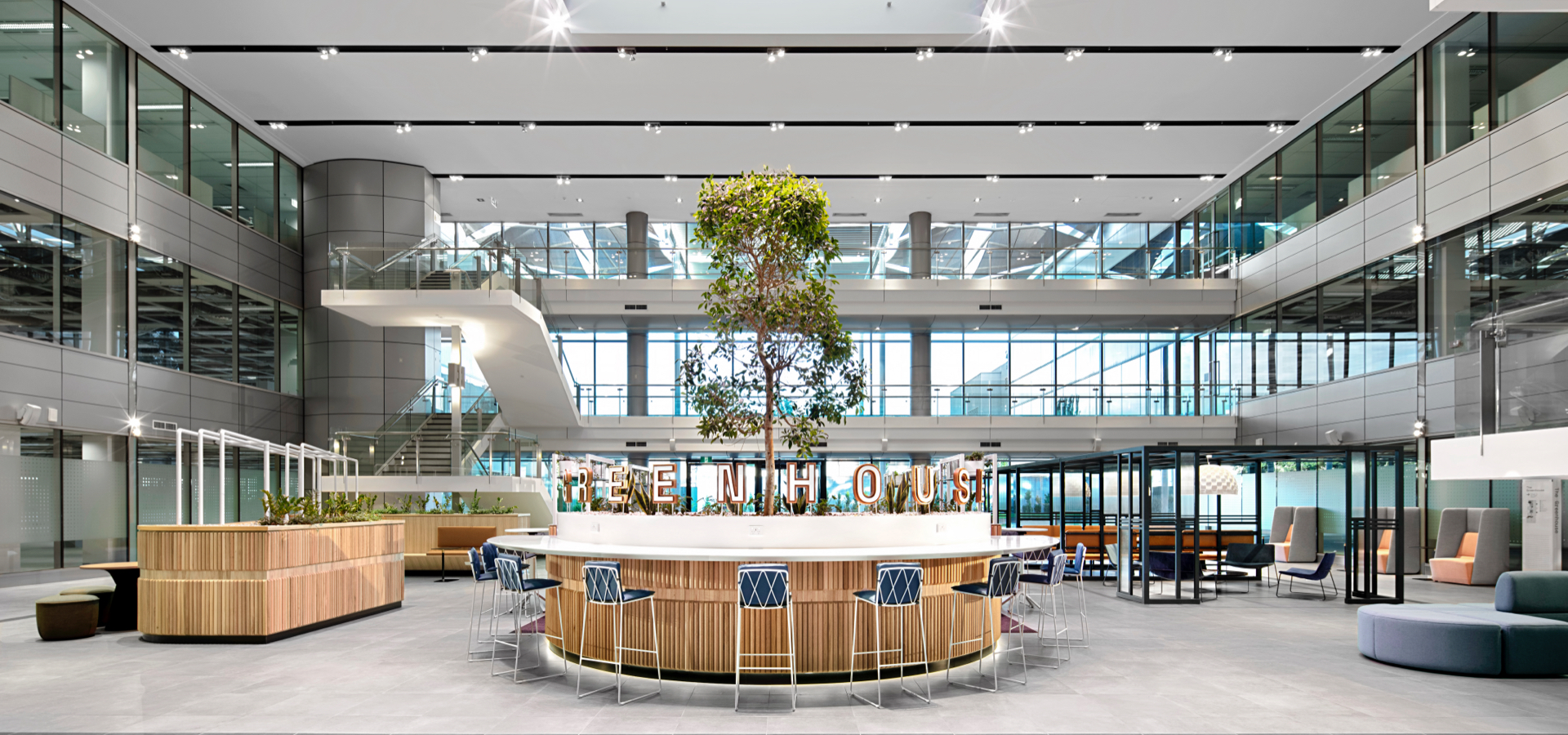 A lobby with a tree growing in the middle.